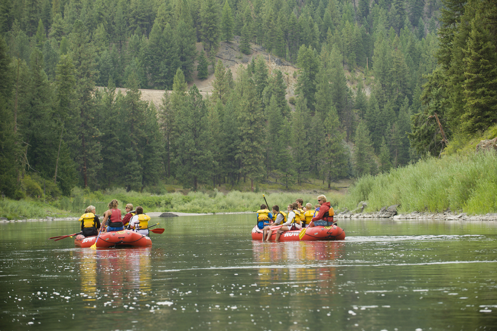 Rafts drifting on calm water surrounded by pine trees and green riverbanks.