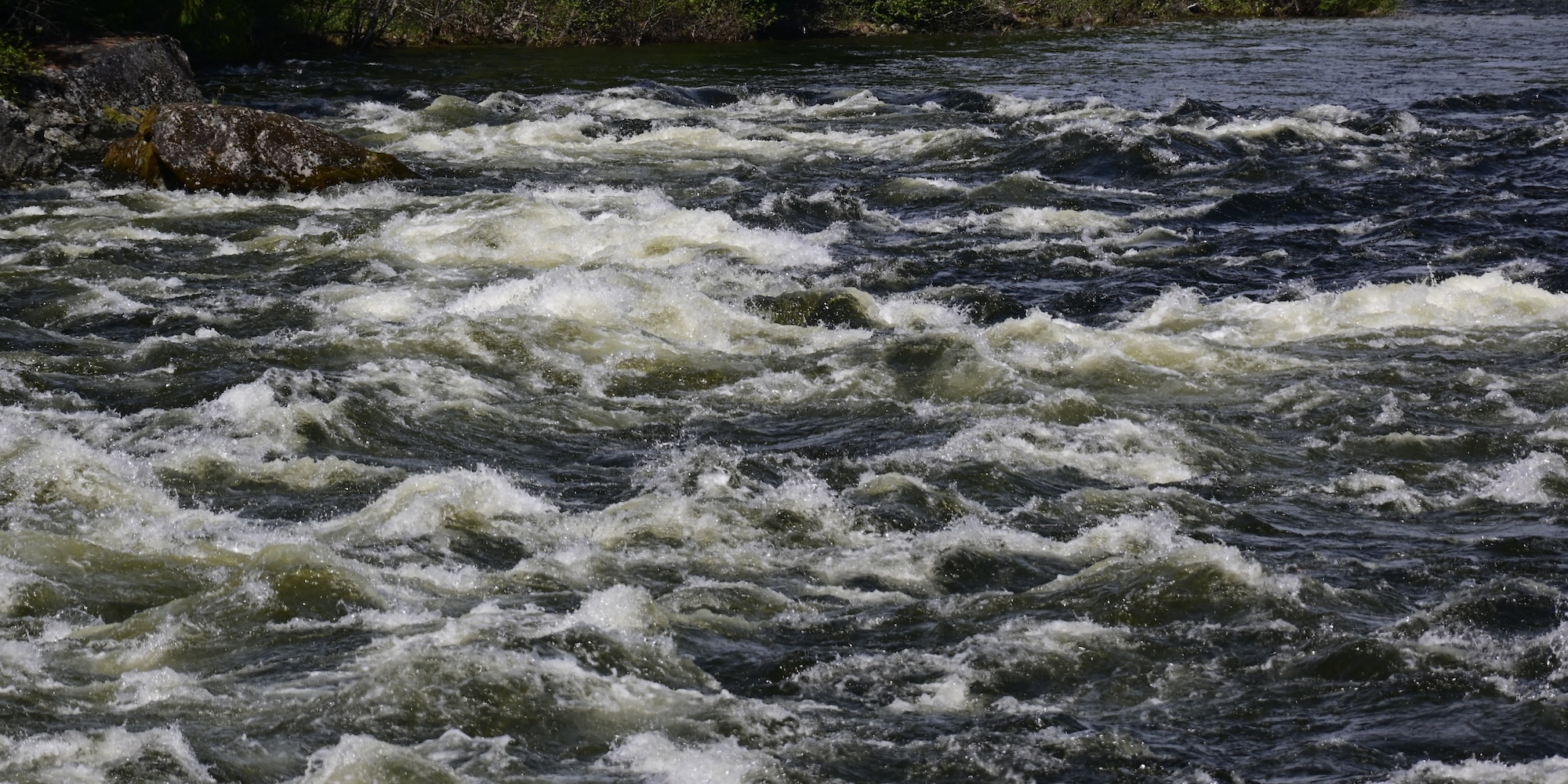 A view of a splashy rapid on the Lochsa river.