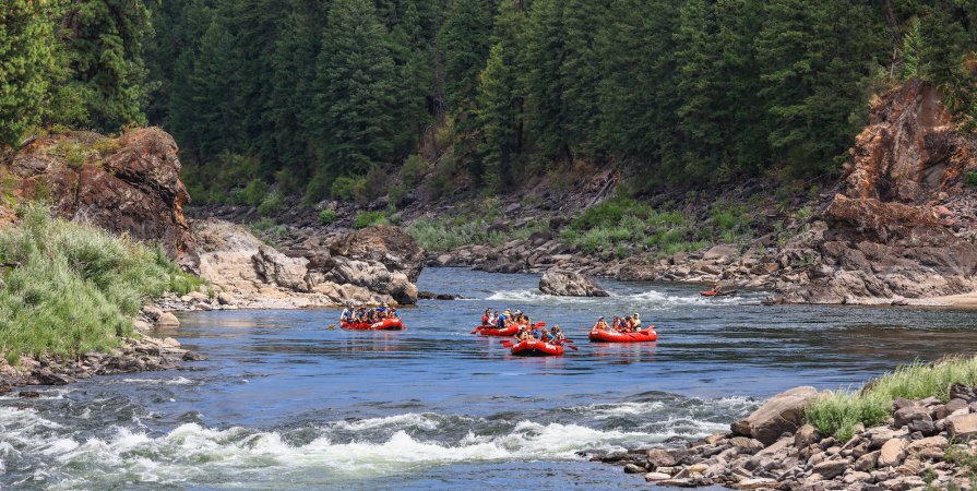 A group of red rafts floating towards the camera through the Alberton Gorge