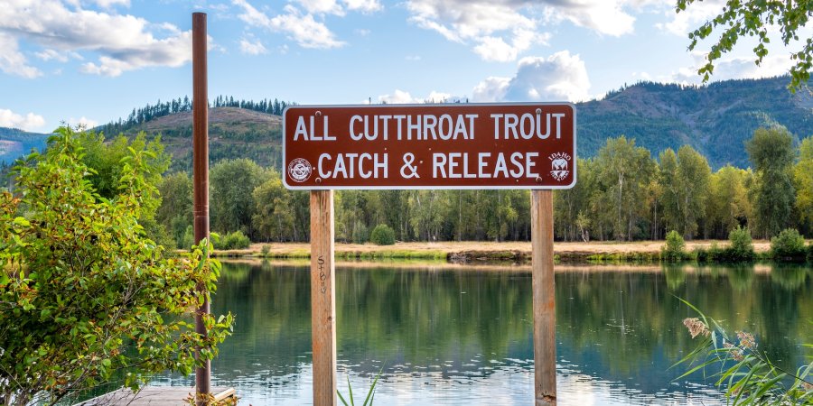 Sign at a scenic Idaho lake reading “All Cutthroat Trout Catch & Release” with forested mountains in the background.