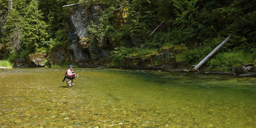 Fly fisherman casting in a crystal-clear Idaho mountain stream surrounded by lush green forest and rocky cliffs.