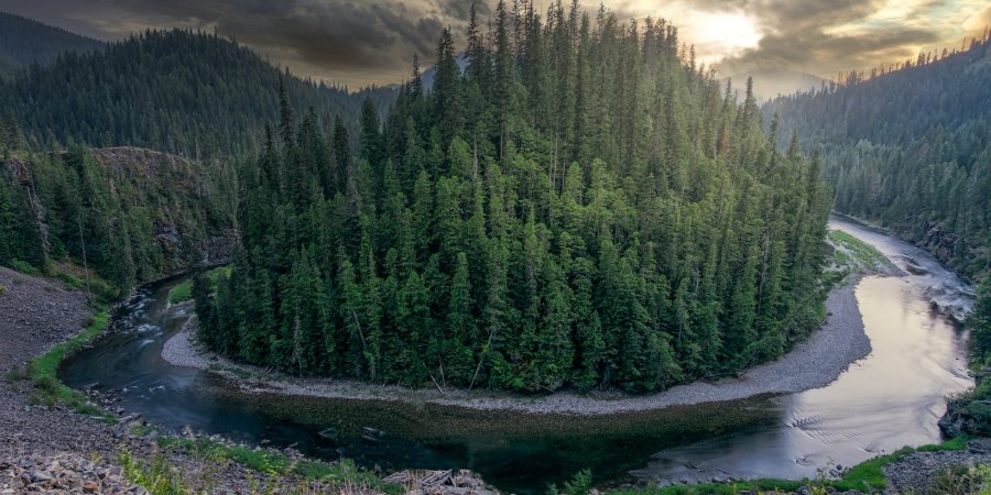 Aerial view of a dramatic bend in the St. Joe River in Idaho, surrounded by dense evergreen forest at sunrise.