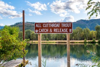 catch and release sign on the coeur d'alene river