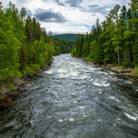 Downstream view of the Moyie River on a cloudy day