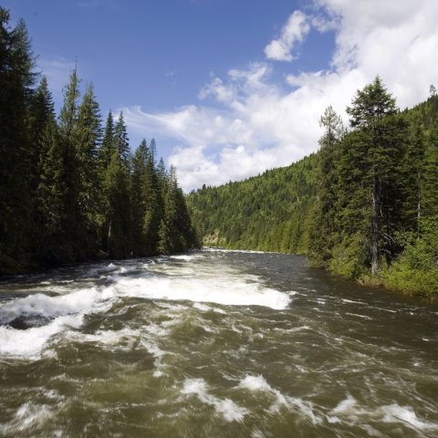A wavy section of the Lochsa river in Idaho.